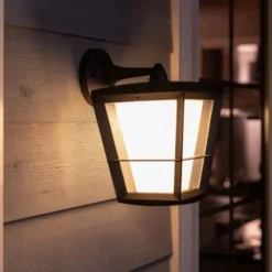Applique LED Murale Econic Down