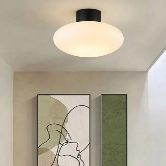 Applique/ plafonnier Orion L