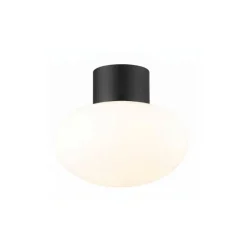 Applique/ plafonnier Orion S