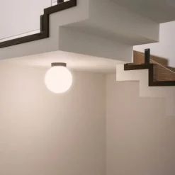 Asteroide ceiling