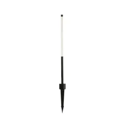 Bambou piquet