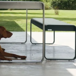 Banc bellevie