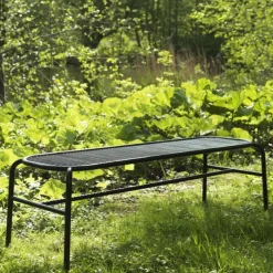 Banc Vig