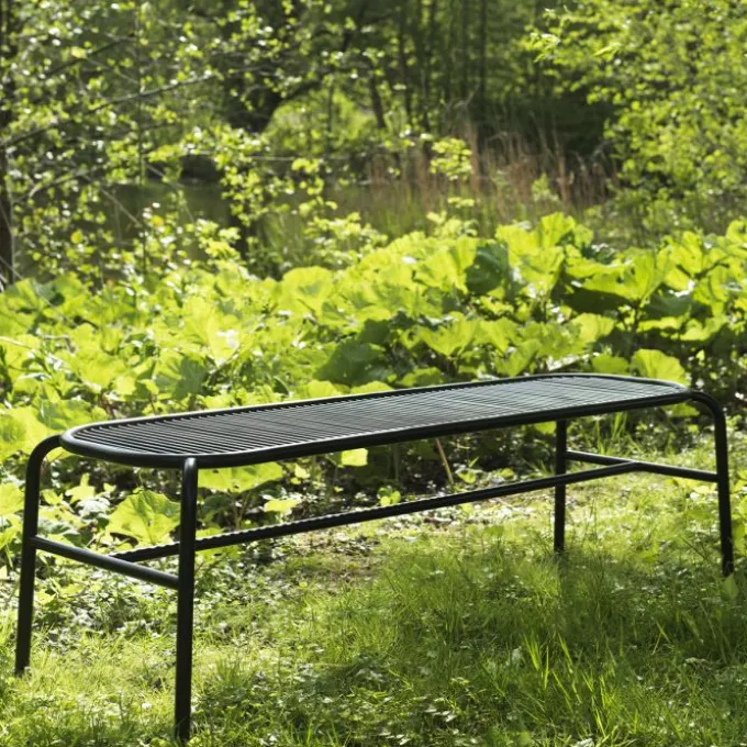 Banc Vig