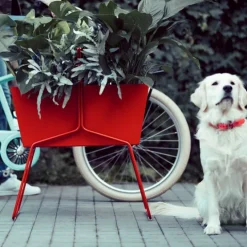 Basket Jardinière Haute