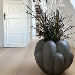 Bloom vase