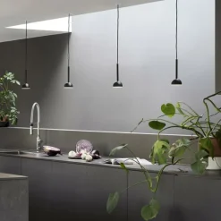 Blush Suspension
