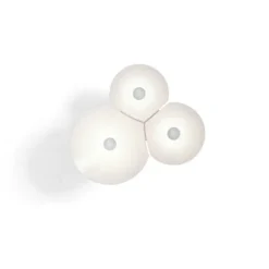 Bulbullia