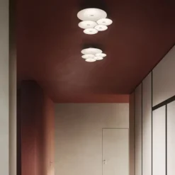 Bulbullia