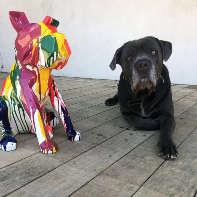 Bulldog origami