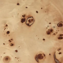 Burl Table basse