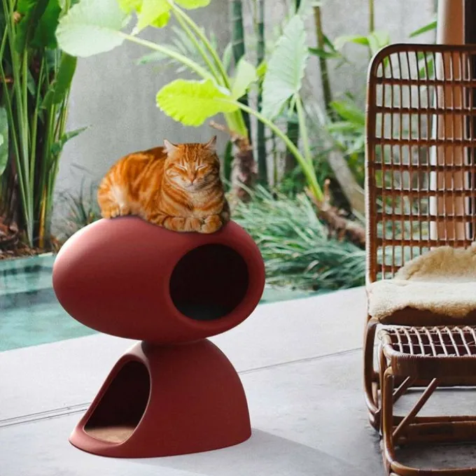 Cat cave