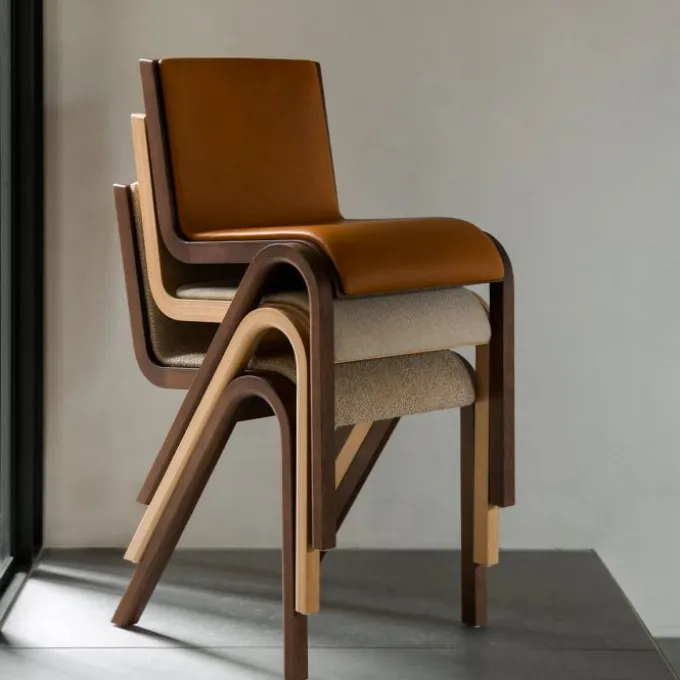 Chaise de salle à manger Ready - Front Upholstered Chêne teinté noir