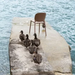 Chaise Hug - Lot de 6