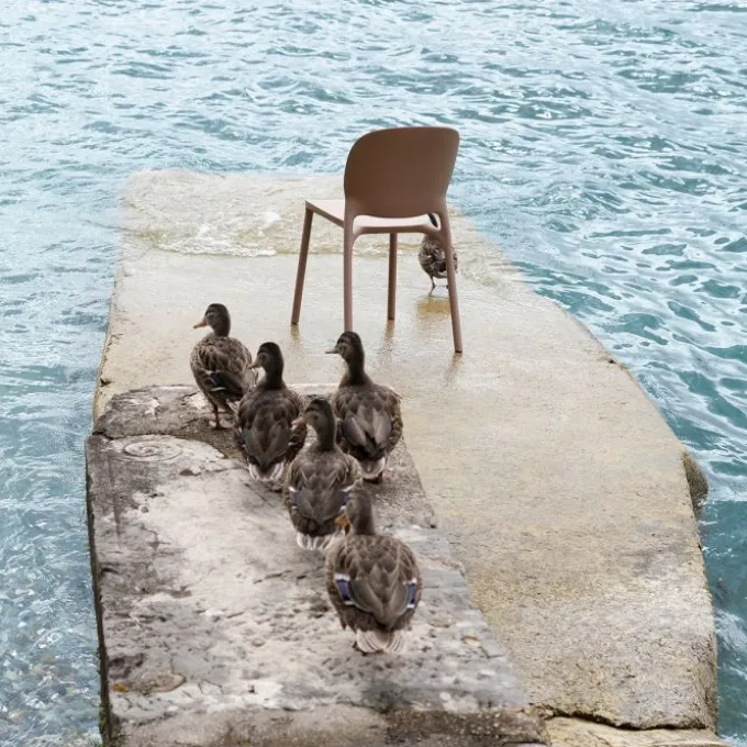 Chaise Hug - Lot de 6