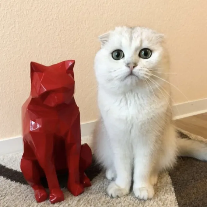 Chat origami