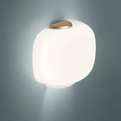 Chouchin semi - Limitée