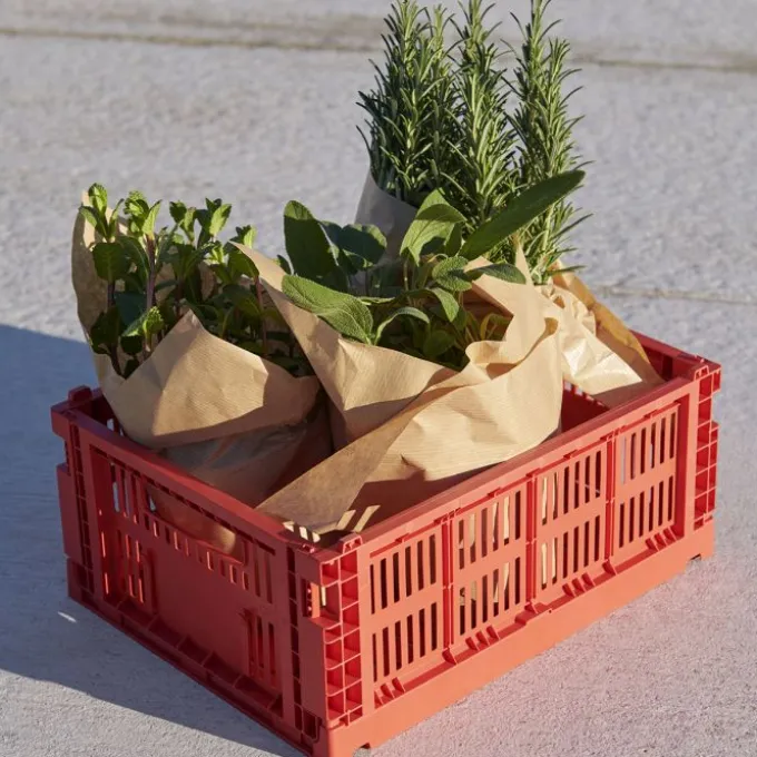Colour Crate - Lot de 4