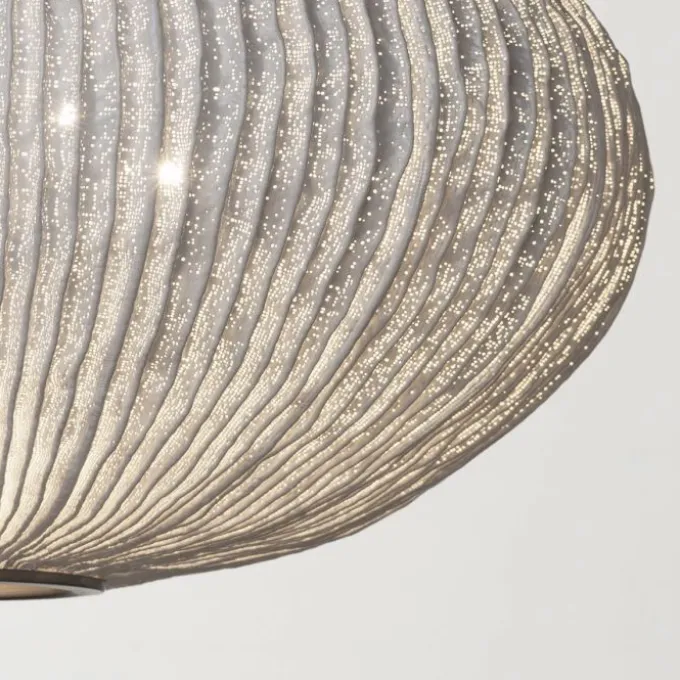 Coral Seaurchin Suspension