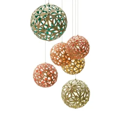 Coral Suspension