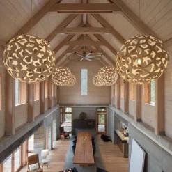 Coral Suspension