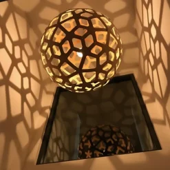 Coral Suspension