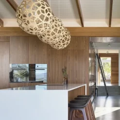 Coral Suspension