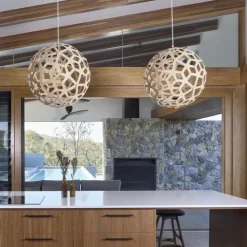 Coral Suspension
