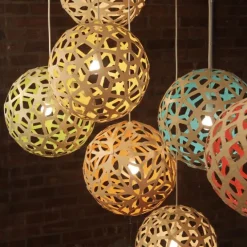 Coral Suspension