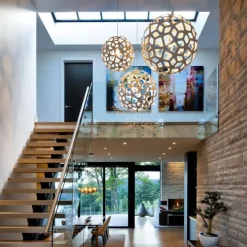 Coral Suspension