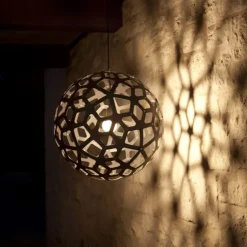 Coral Suspension