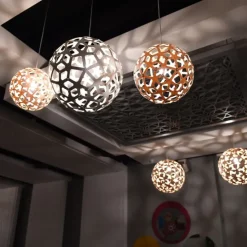 Coral Suspension