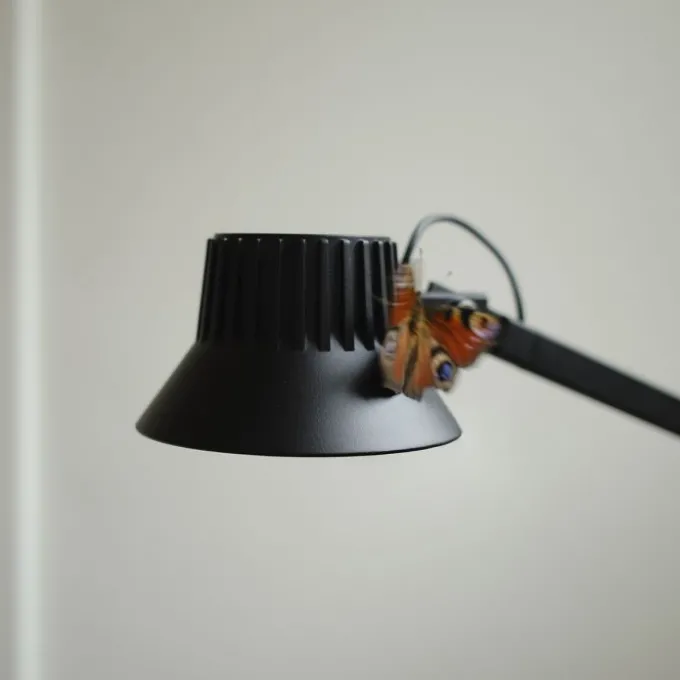 Dedicate - Lampadaire