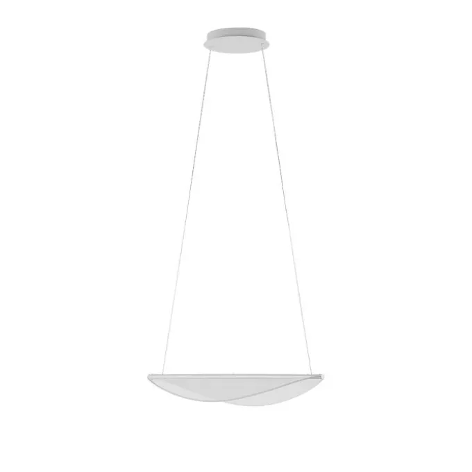 Diphy Suspension
