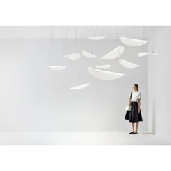 Diphy Suspension