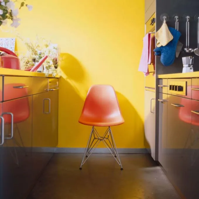 Eames Chaise DSR
