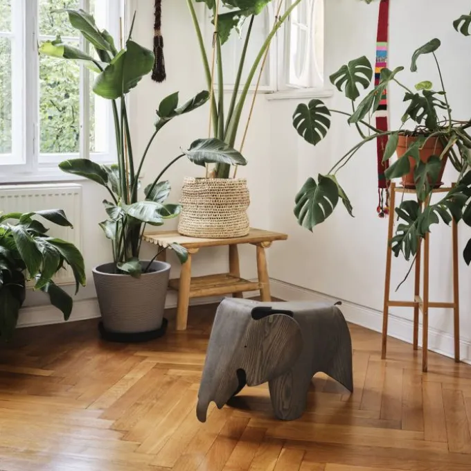 Eames Elephant 75th Anniversary Édition