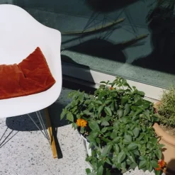 Eames fauteuil RAR (Outlet)