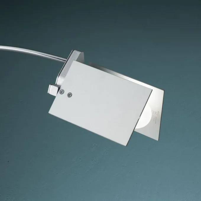 Falena lampe