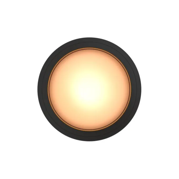 Falling Sun In