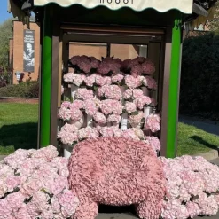 Fauteuil Hortensia