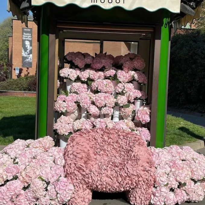 Fauteuil Hortensia