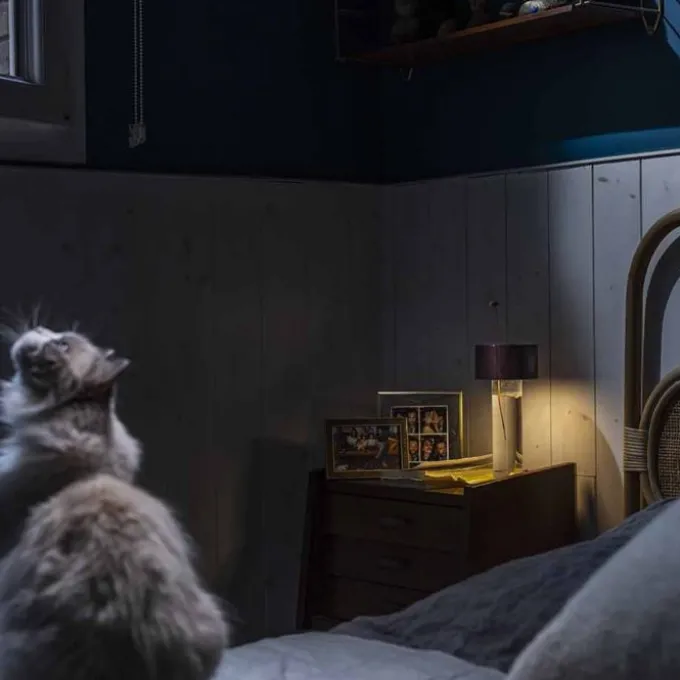 Fleur - Lampe rechargeable