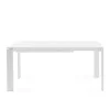 Four Extendable Outdoor