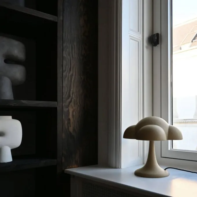Fungus Table Lamp