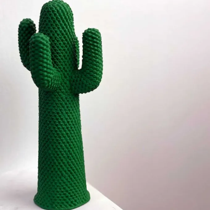 Guframini Cactus