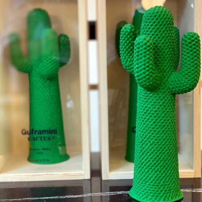 Guframini Cactus