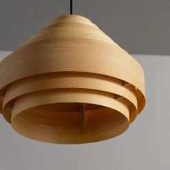 1001 Hans Pendant 38 - Suspension