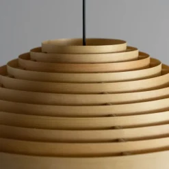1003 Hans Pendant 60 - Suspension