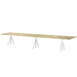 Height-Adjustable conference table